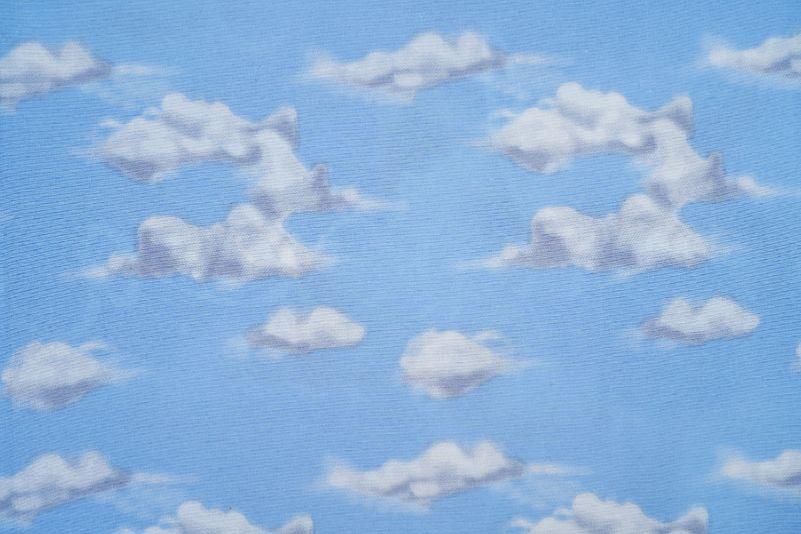 Dekbedovertrekset The Cotton Collection